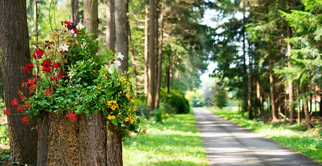 oprijlaan-ayurveda-twente